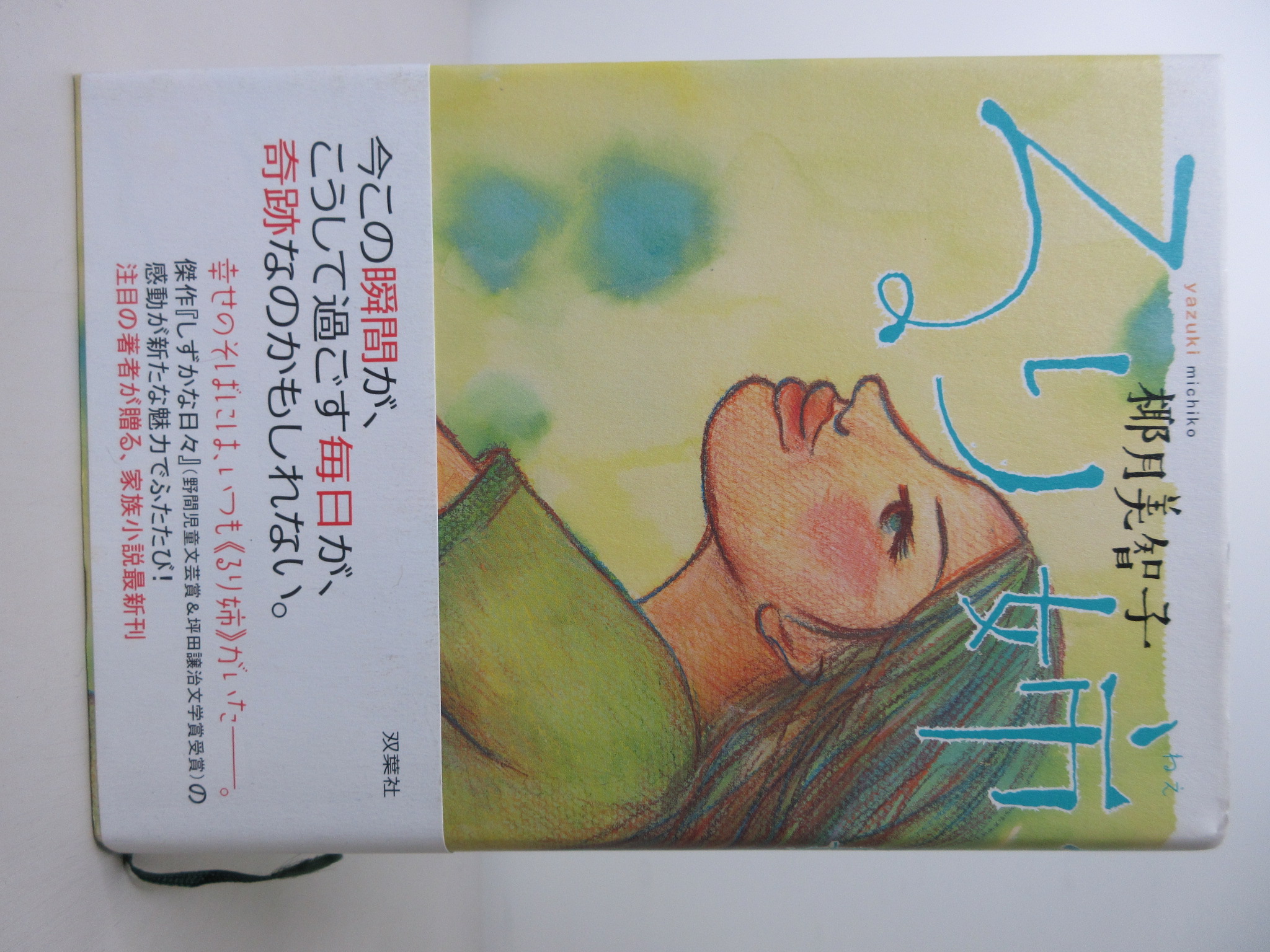 るり姉[椰月美智子](双葉社)(ISBN:9784575236606)
