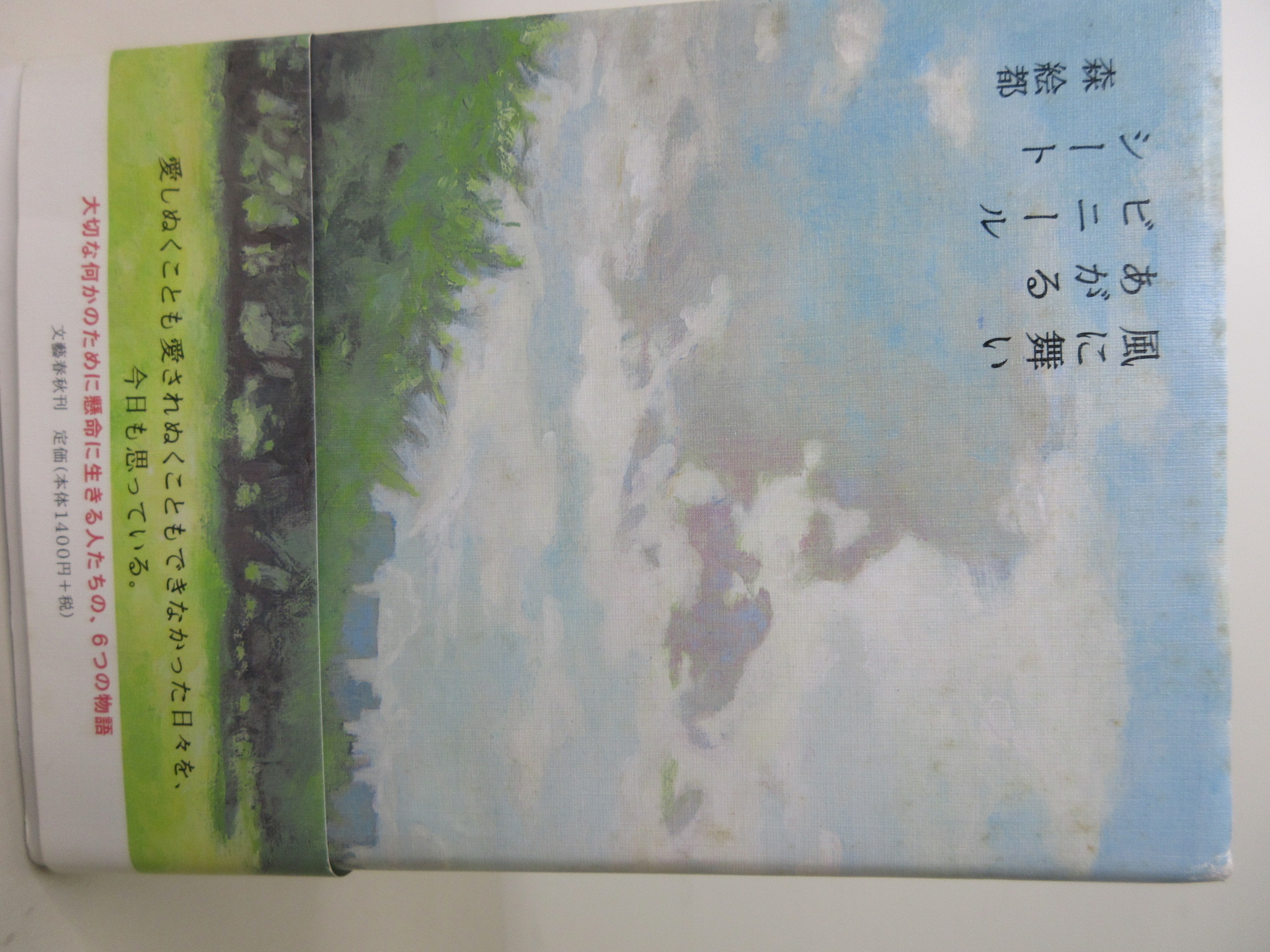 風に舞いあがるビニールシート[森 絵都](文藝春秋)(ISBN:9784163249209)