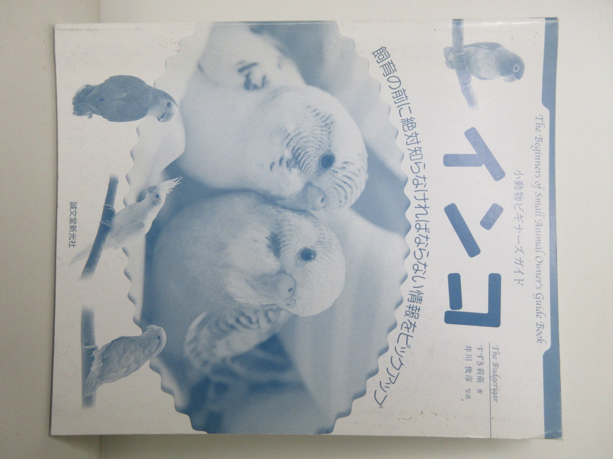 インコ (小動物ビギナーズガイド) (誠文堂新光社)[すずき 莉萌](ISBN:9784416706183)