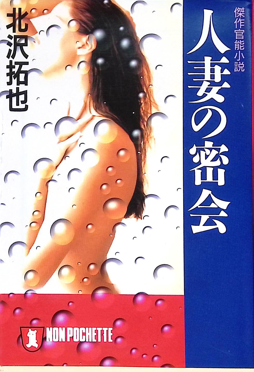 人妻の密会 (ノン・ポシェット)[北沢 拓也](祥伝社)(ISBN:9784396326043)